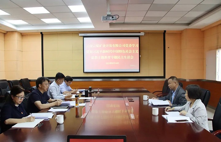 【主题教育】云煤（云鼎国际4118welcome）集团第二指导组到云煤矿业公司指导主题教育专题民主生涯会